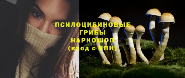 индика Абинск