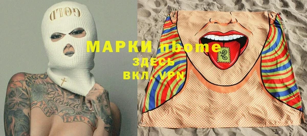 PSILOCYBIN Алзамай