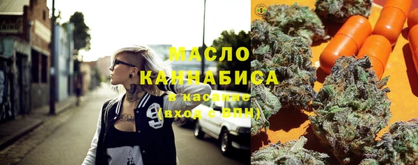 индика Абинск