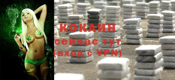 сатива Михайловка