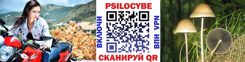 Псилоцибиновые грибы прущие грибы  Староминская 